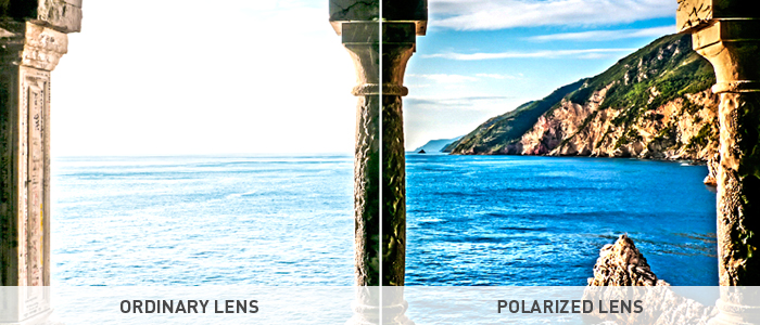 Polarized_Blog_Image