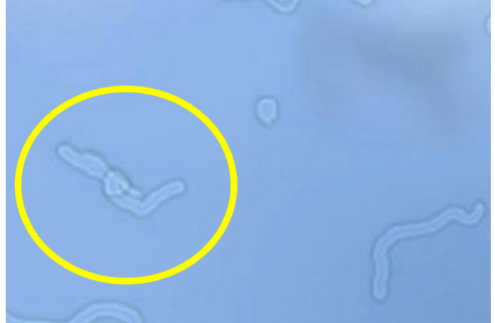 Screen Shot 2018-07-10 at 7.13.03 PM